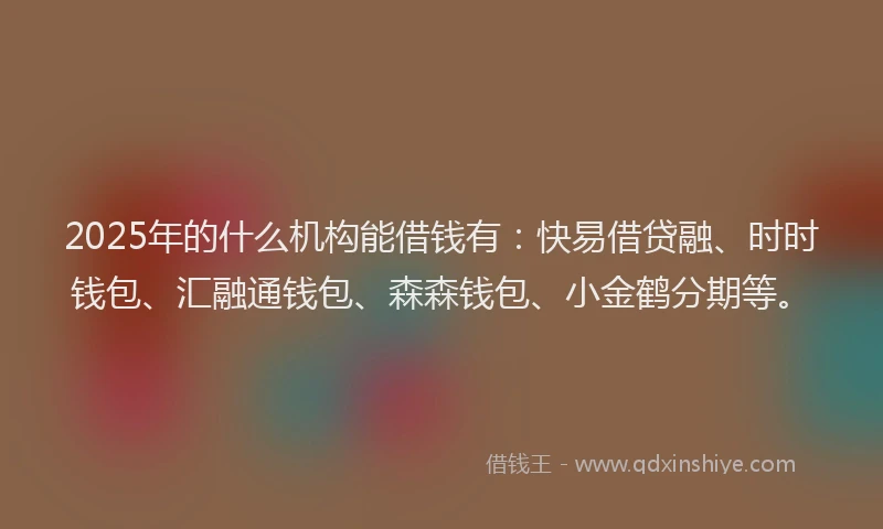 2025年的什么机构能借钱有：快易借贷融、时时钱包、汇融通钱包、森森钱包、小金鹤分期等。