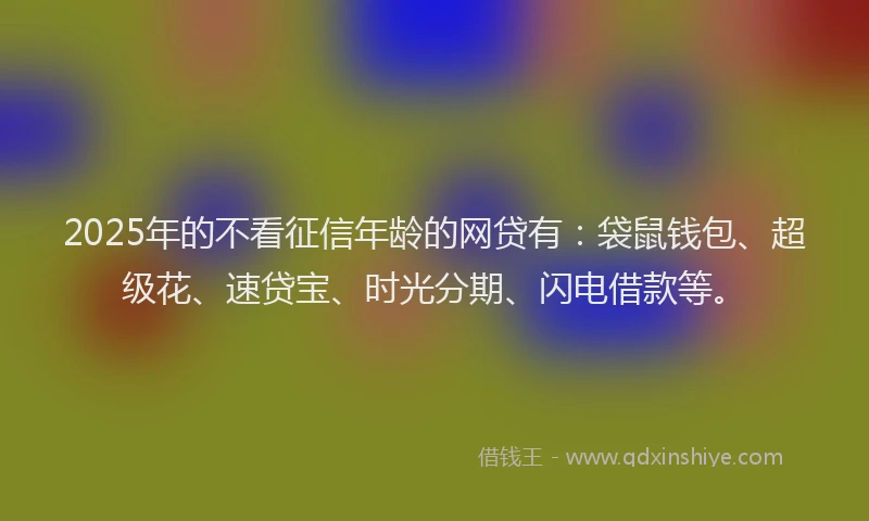 2025年的不看征信年龄的网贷有：袋鼠钱包、超级花、速贷宝、时光分期、闪电借款等。