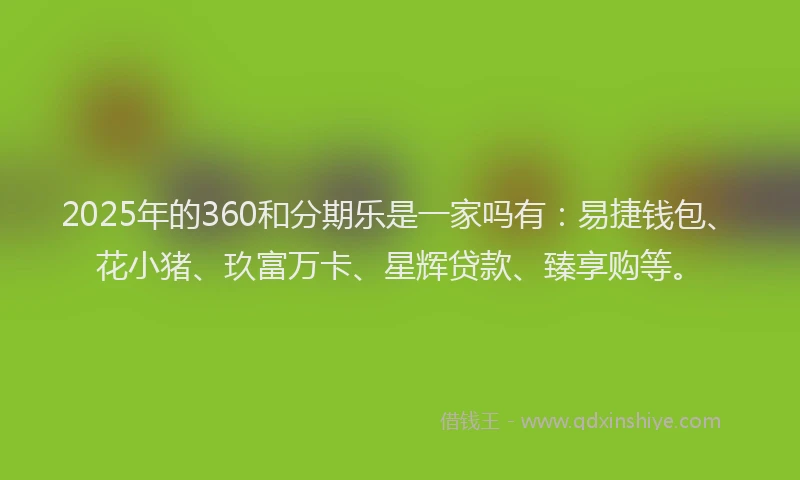 2025年的360和分期乐是一家吗有：易捷钱包、花小猪、玖富万卡、星辉贷款、臻享购等。