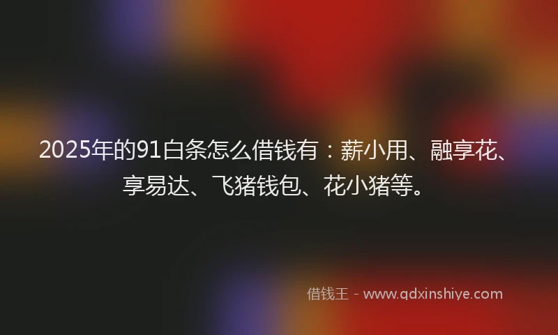 2025年的91白条怎么借钱有：薪小用、融享花、享易达、飞猪钱包、花小猪等。