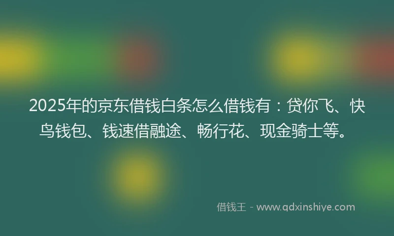 2025年的京东借钱白条怎么借钱有：贷你飞、快鸟钱包、钱速借融途、畅行花、现金骑士等。