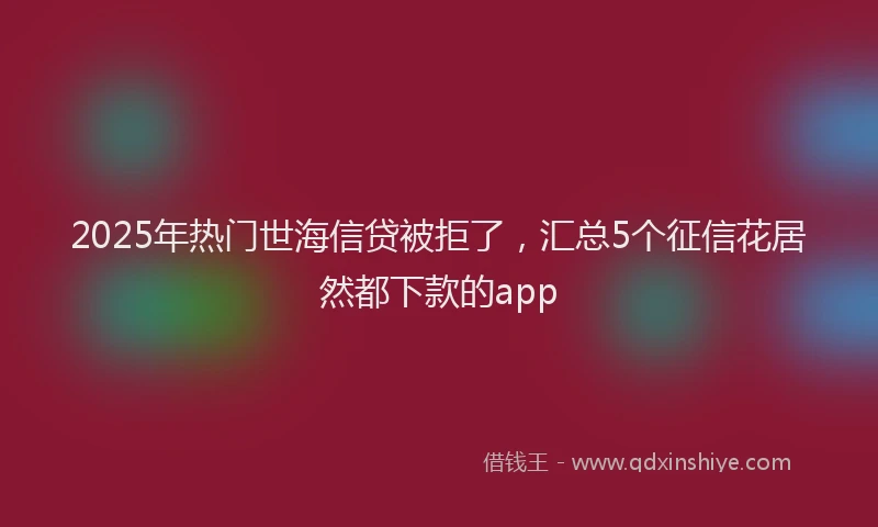 2025年热门世海信贷被拒了，汇总5个征信花居然都下款的app