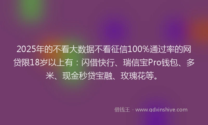 2025年的不看大数据不看征信100%通过率的网贷限18岁以上有：闪借快行、瑞信宝Pro钱包、多米、现金秒贷宝融、玫瑰花等。