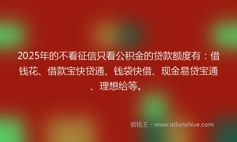2025年的不看征信只看公积金的贷款额度有：借钱花、借款宝快贷通、钱袋快借、现金易贷宝通、理想给等。