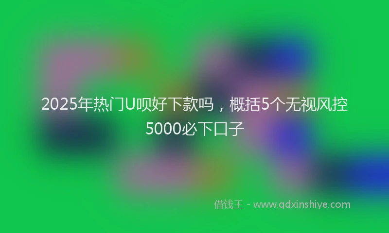2025年热门U呗好下款吗，概括5个无视风控5000必下口子