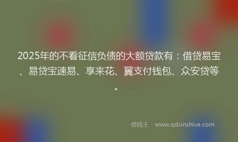 2025年的不看征信负债的大额贷款有：借贷易宝、易贷宝速易、享来花、翼支付钱包、众安贷等。