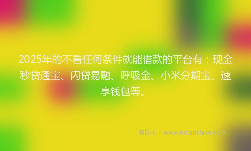 2025年的不看任何条件就能借款的平台有：现金秒贷通宝、闪贷易融、呼吸金、小米分期宝、速享钱包等。