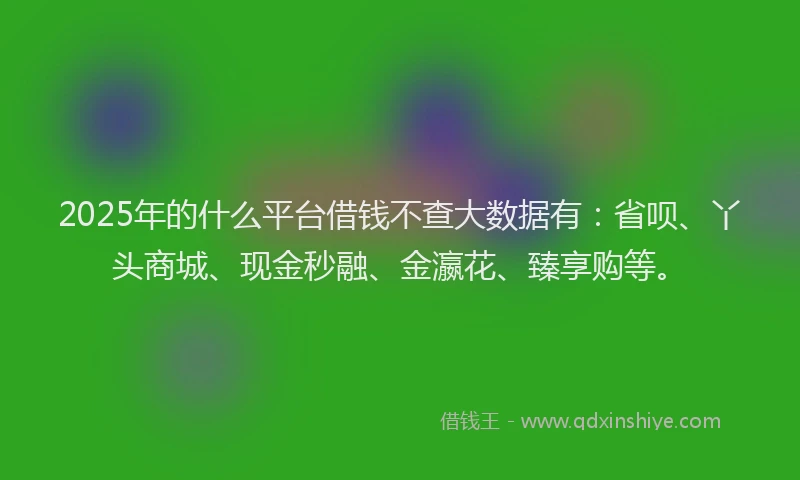 2025年的什么平台借钱不查大数据有：省呗、丫头商城、现金秒融、金瀛花、臻享购等。