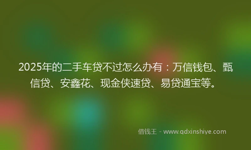 2025年的二手车贷不过怎么办有：万信钱包、甄信贷、安鑫花、现金侠速贷、易贷通宝等。