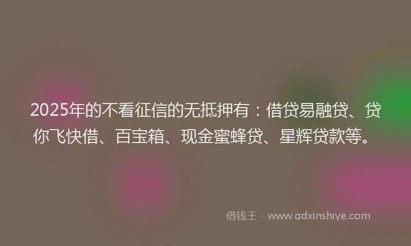2025年的不看征信的无抵押有：借贷易融贷、贷你飞快借、百宝箱、现金蜜蜂贷、星辉贷款等。