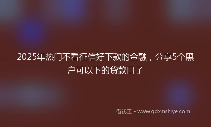 2025年热门不看征信好下款的金融，分享5个黑户可以下的贷款口子