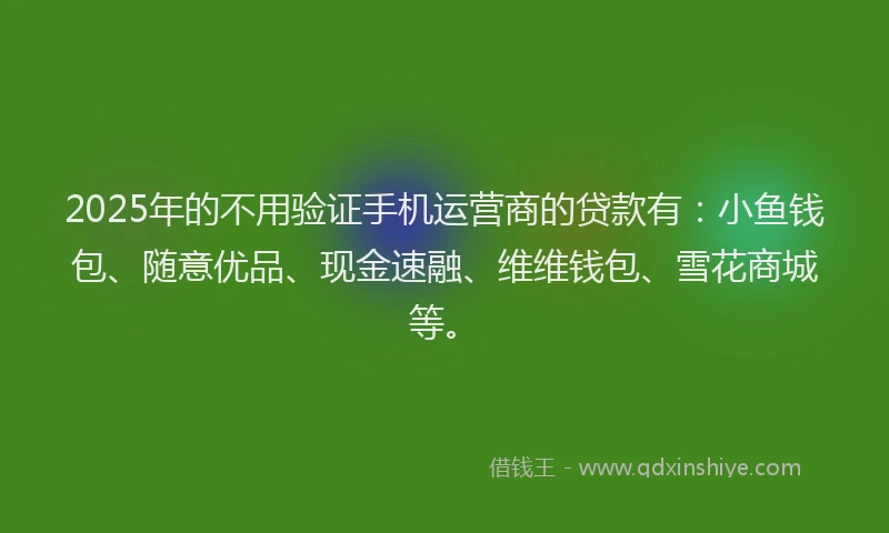 2025年的不用验证手机运营商的贷款有：小鱼钱包、随意优品、现金速融、维维钱包、雪花商城等。
