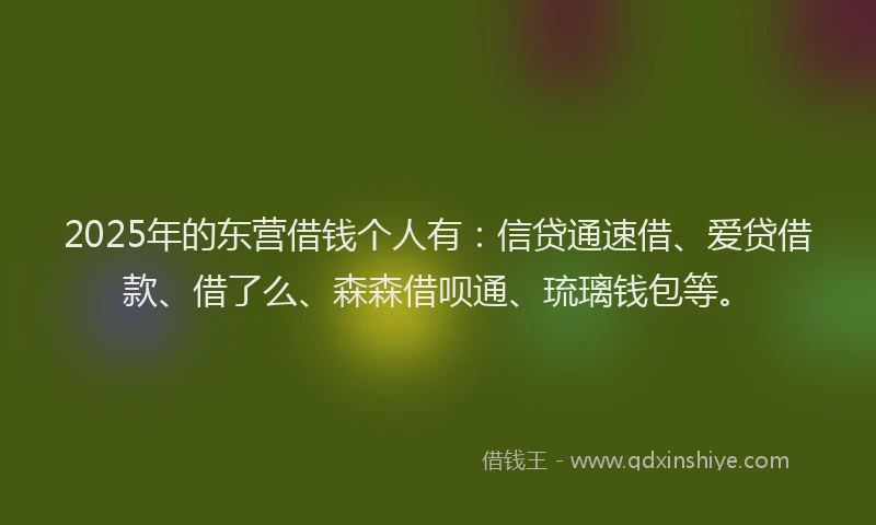 2025年的东营借钱个人有：信贷通速借、爱贷借款、借了么、森森借呗通、琉璃钱包等。
