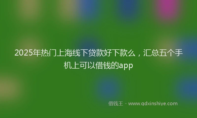 2025年热门上海线下贷款好下款么，汇总五个手机上可以借钱的app
