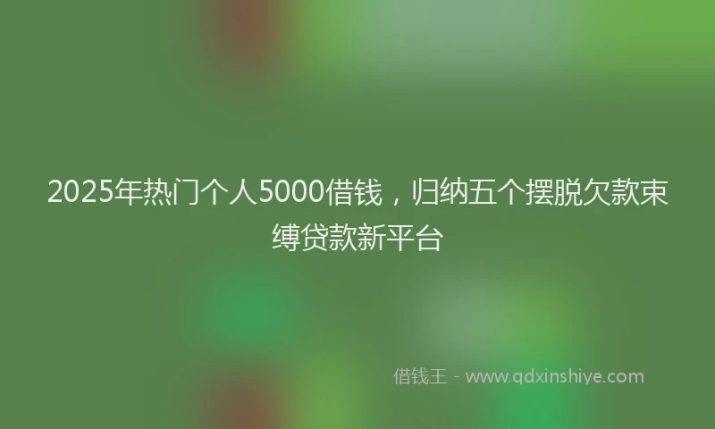 2025年热门个人5000借钱，归纳五个摆脱欠款束缚贷款新平台