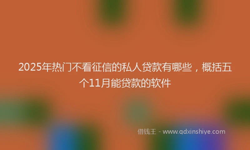 2025年热门不看征信的私人贷款有哪些，概括五个11月能贷款的软件