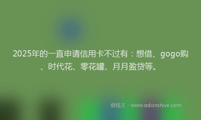 2025年的一直申请信用卡不过有：想借、gogo购、时代花、零花罐、月月盈贷等。