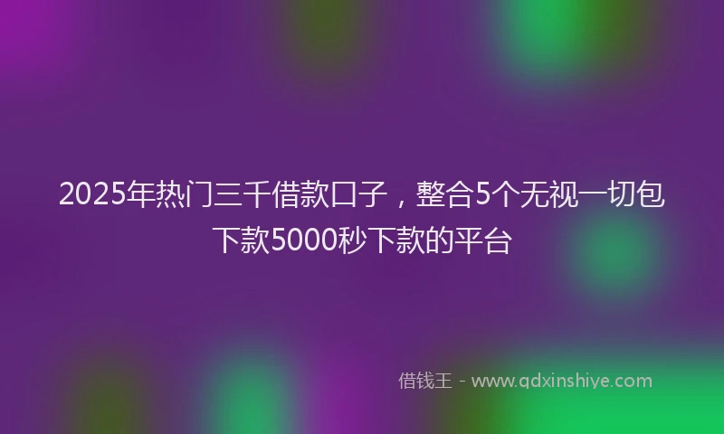 2025年热门三千借款口子，整合5个无视一切包下款5000秒下款的平台