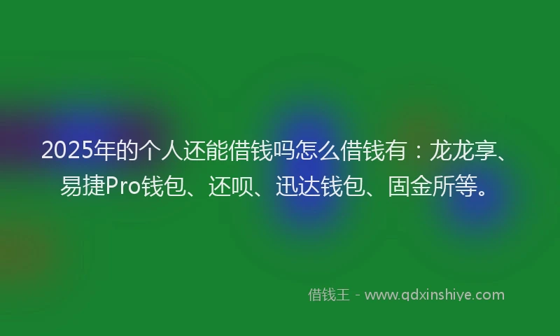 2025年的个人还能借钱吗怎么借钱有：龙龙享、易捷Pro钱包、还呗、迅达钱包、固金所等。