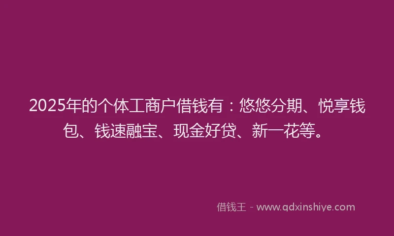 2025年的个体工商户借钱有：悠悠分期、悦享钱包、钱速融宝、现金好贷、新一花等。