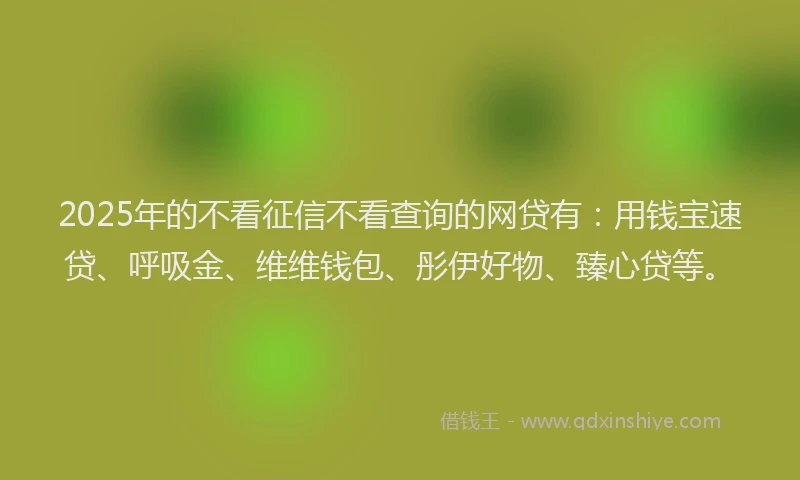 2025年的不看征信不看查询的网贷有：用钱宝速贷、呼吸金、维维钱包、彤伊好物、臻心贷等。