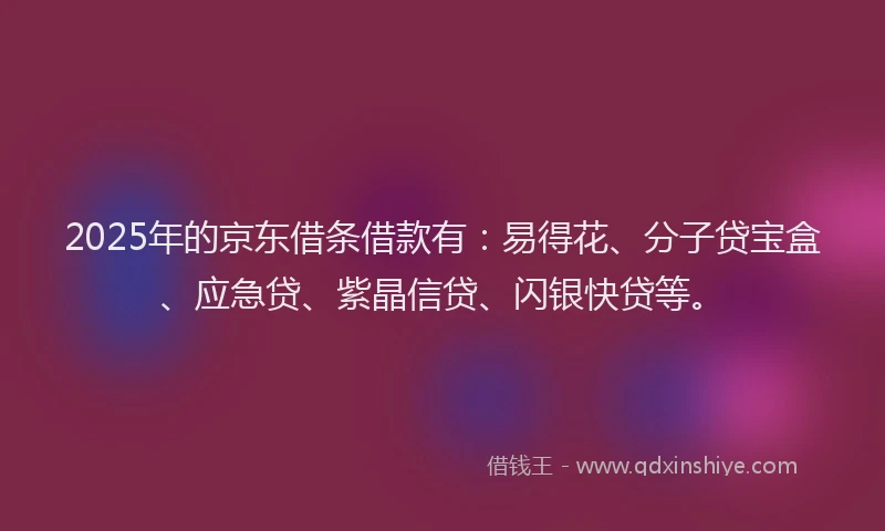 2025年的京东借条借款有：易得花、分子贷宝盒、应急贷、紫晶信贷、闪银快贷等。