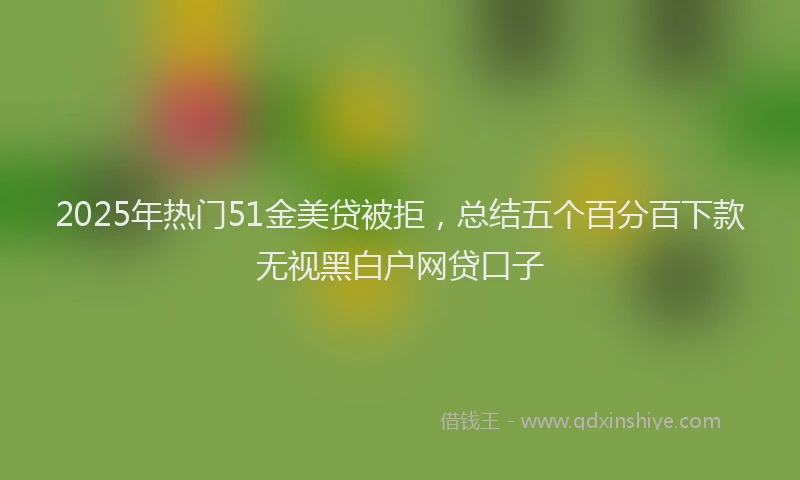 2025年热门51金美贷被拒，总结五个百分百下款无视黑白户网贷口子