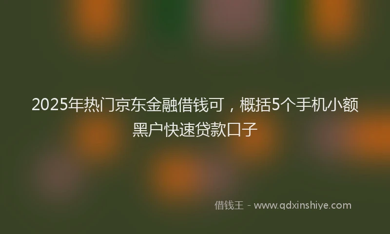 2025年热门京东金融借钱可，概括5个手机小额黑户快速贷款口子