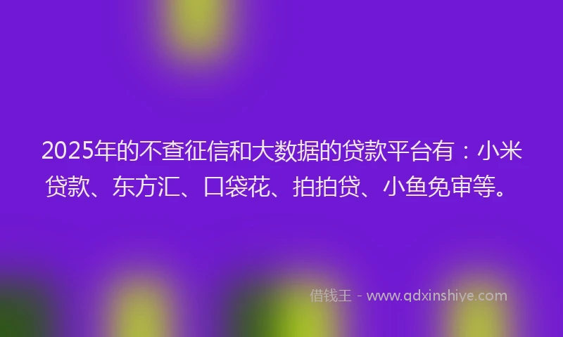 2025年的不查征信和大数据的贷款平台有：小米贷款、东方汇、口袋花、拍拍贷、小鱼免审等。