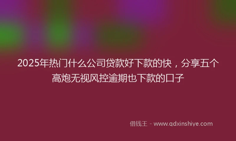 2025年热门什么公司贷款好下款的快，分享五个高炮无视风控逾期也下款的口子