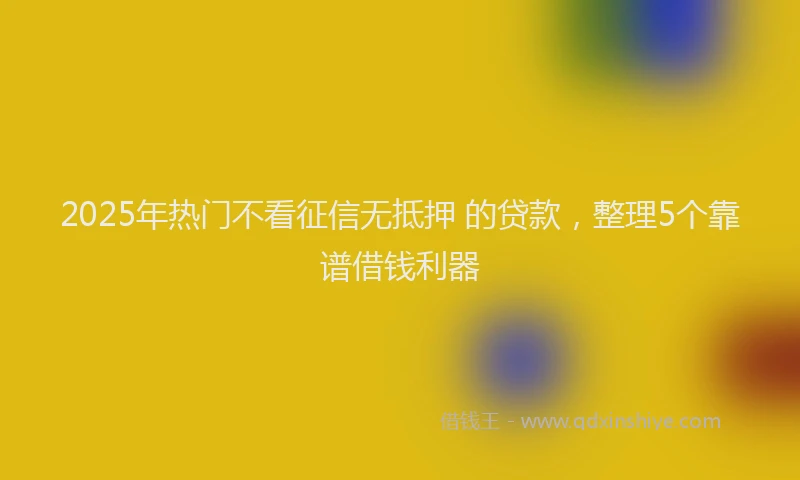 2025年热门不看征信无抵押 的贷款，整理5个靠谱借钱利器