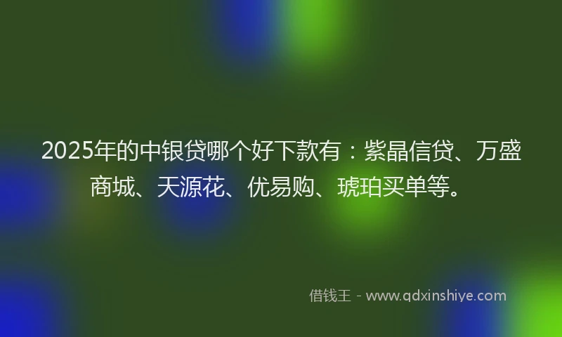 2025年的中银贷哪个好下款有：紫晶信贷、万盛商城、天源花、优易购、琥珀买单等。