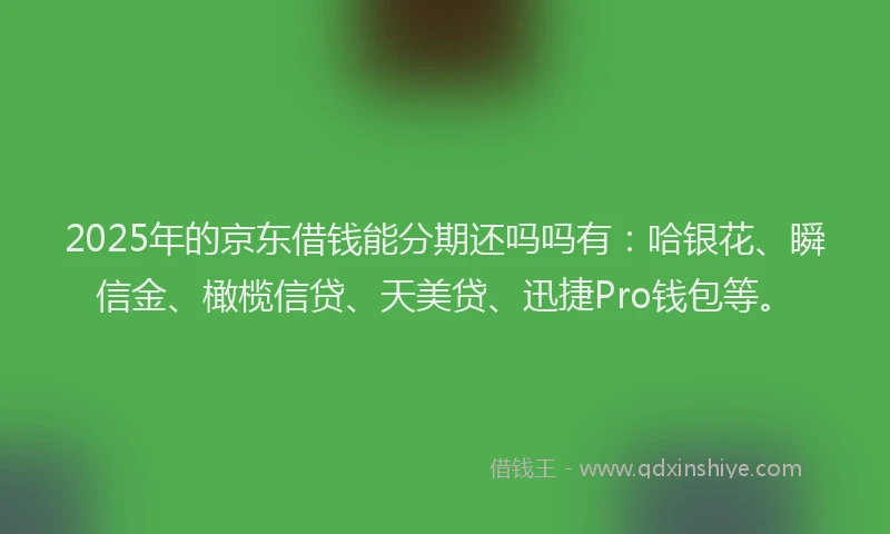 2025年的京东借钱能分期还吗吗有：哈银花、瞬信金、橄榄信贷、天美贷、迅捷Pro钱包等。