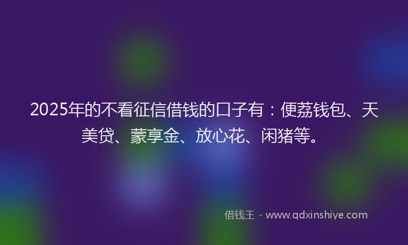 2025年的不看征信借钱的口子有：便荔钱包、天美贷、蒙享金、放心花、闲猪等。