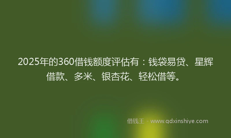2025年的360借钱额度评估有：钱袋易贷、星辉借款、多米、银杏花、轻松借等。