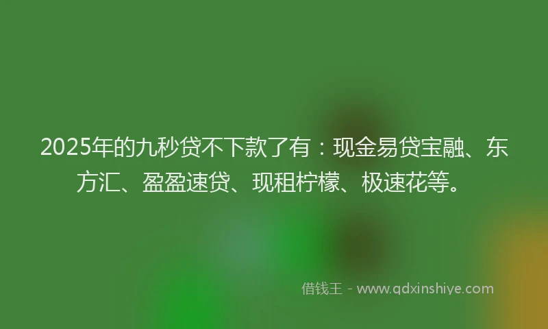 2025年的九秒贷不下款了有：现金易贷宝融、东方汇、盈盈速贷、现租柠檬、极速花等。