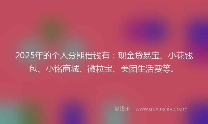 2025年的个人分期借钱有：现金贷易宝、小花钱包、小铭商城、微粒宝、美团生活费等。