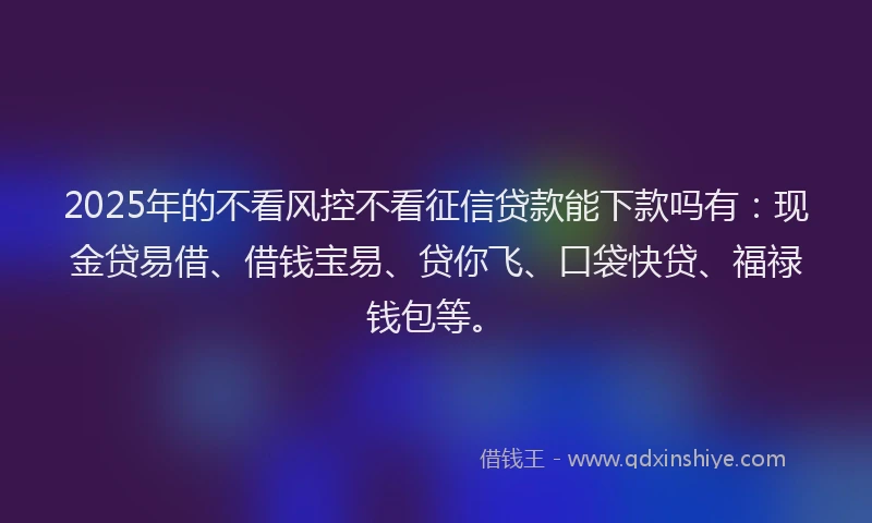 2025年的不看风控不看征信贷款能下款吗有：现金贷易借、借钱宝易、贷你飞、口袋快贷、福禄钱包等。