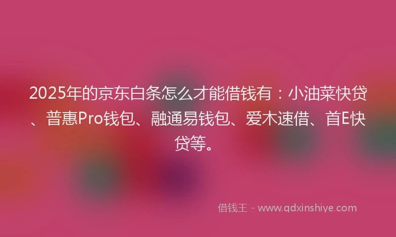 2025年的京东白条怎么才能借钱有：小油菜快贷、普惠Pro钱包、融通易钱包、爱木速借、首E快贷等。