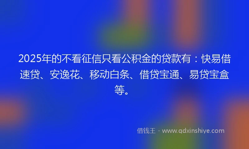 2025年的不看征信只看公积金的贷款有：快易借速贷、安逸花、移动白条、借贷宝通、易贷宝盒等。
