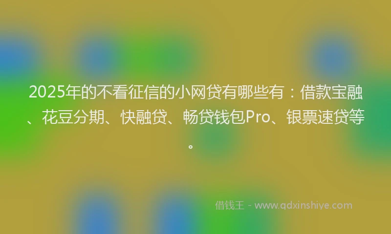 2025年的不看征信的小网贷有哪些有：借款宝融、花豆分期、快融贷、畅贷钱包Pro、银票速贷等。