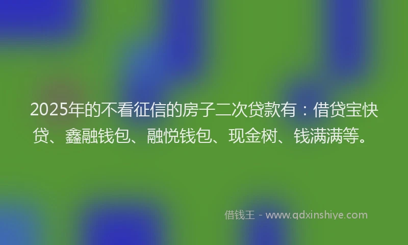 2025年的不看征信的房子二次贷款有：借贷宝快贷、鑫融钱包、融悦钱包、现金树、钱满满等。