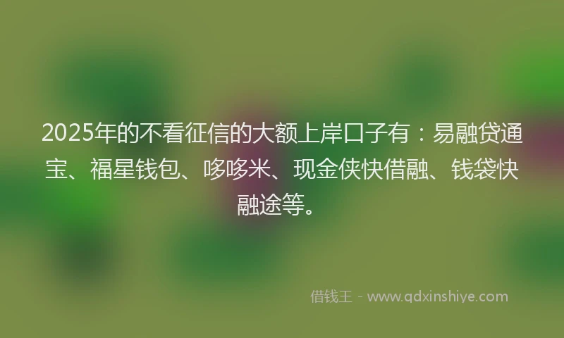 2025年的不看征信的大额上岸口子有：易融贷通宝、福星钱包、哆哆米、现金侠快借融、钱袋快融途等。