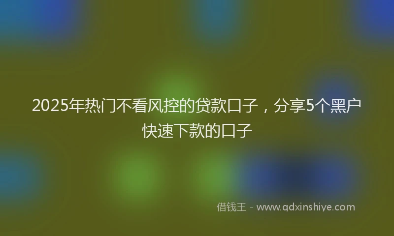 2025年热门不看风控的贷款口子，分享5个黑户快速下款的口子