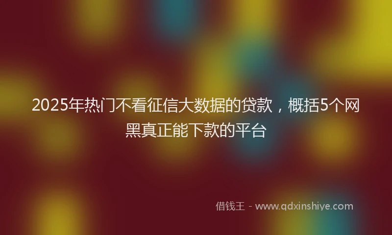 2025年热门不看征信大数据的贷款，概括5个网黑真正能下款的平台