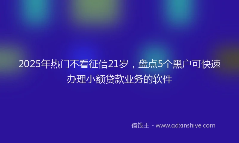 2025年热门不看征信21岁，盘点5个黑户可快速办理小额贷款业务的软件