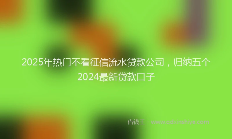 2025年热门不看征信流水贷款公司，归纳五个2024最新贷款口子