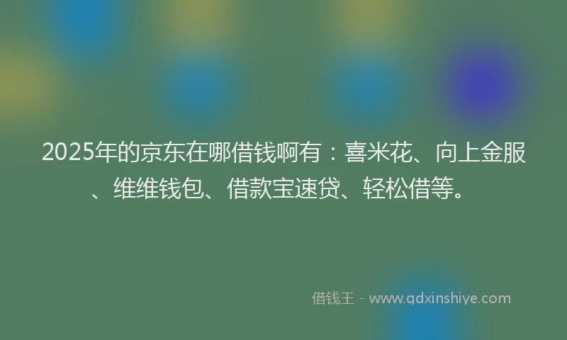 2025年的京东在哪借钱啊有：喜米花、向上金服、维维钱包、借款宝速贷、轻松借等。