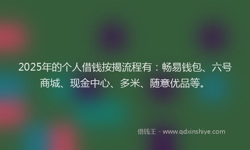 2025年的个人借钱按揭流程有：畅易钱包、六号商城、现金中心、多米、随意优品等。