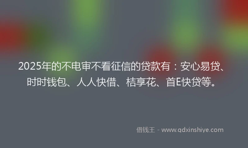 2025年的不电审不看征信的贷款有：安心易贷、时时钱包、人人快借、桔享花、首E快贷等。
